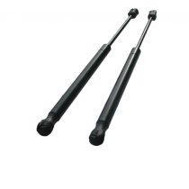 Paire de Verins à Gaz Hard top Carryboy S560 250nm 305mm
